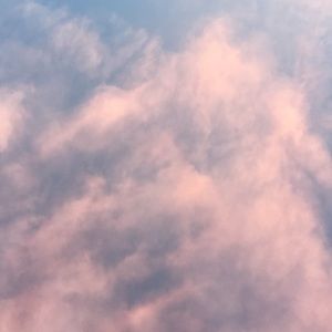 Meet your Posher, Heidi